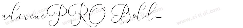 adineuePRO Bold字体转换